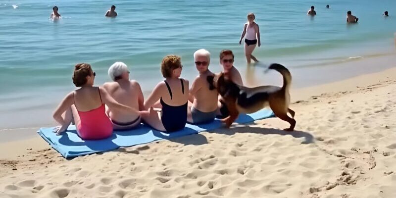Un gruppo di amiche si stava rilassando sulla spiaggia quando un cane si è precipitato verso di loro e ha iniziato ad abbaiare forte. Improvvisamente, una delle donne è impallidita, fissando ansiosamente il pelo dell’animale.
